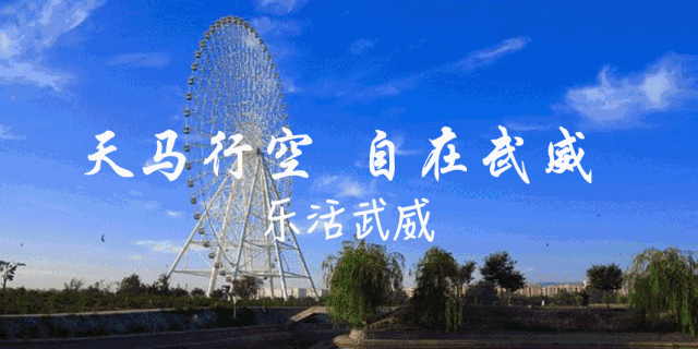 开云体育app下载-武威第十中学男子足球队挺进全国总决赛！！！！！！