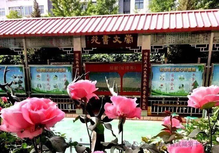开云体育app下载-武威第十中学男子足球队挺进全国总决赛！！！！！！