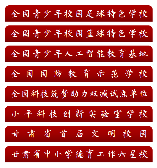 开云体育app下载-武威第十中学男子足球队挺进全国总决赛！！！！！！