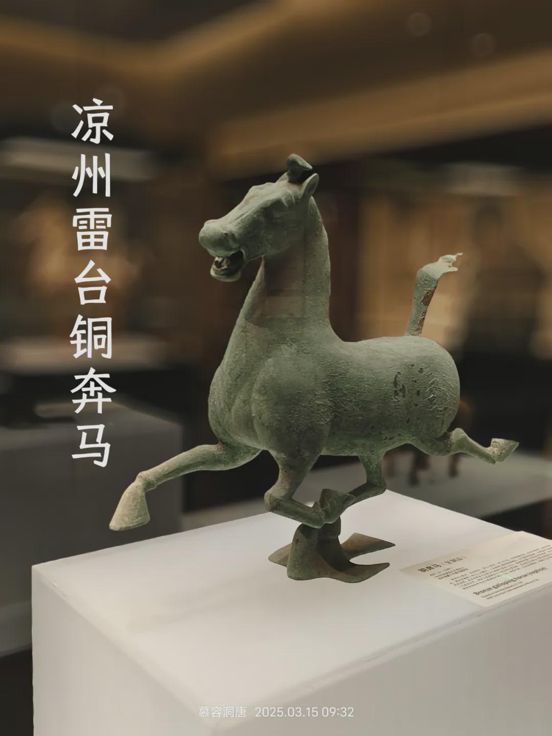 开云体育app下载-武威第十中学男子足球队挺进全国总决赛！！！！！！